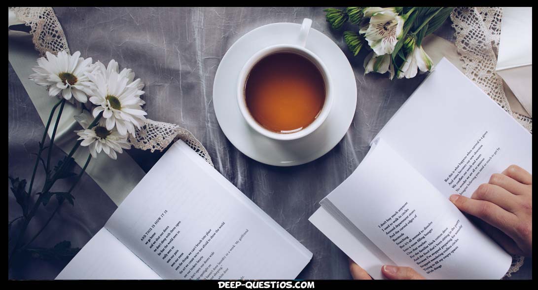 Book reader