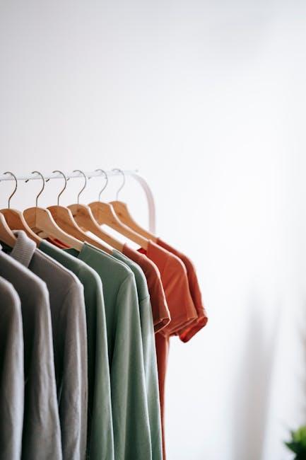 Simplified Closet Solutions for ADHD Individuals