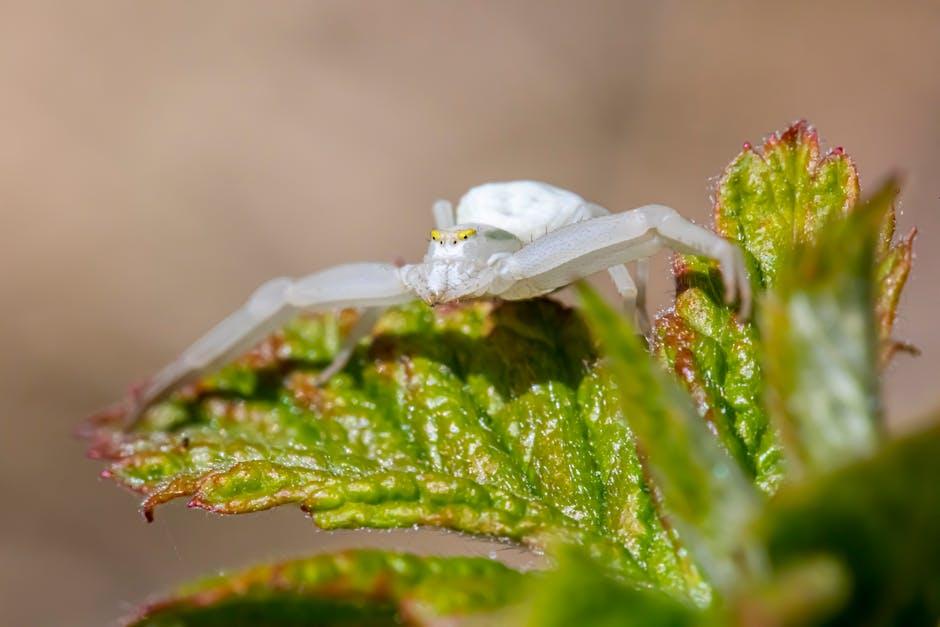 Extraordinary Creatures: Tales of the Animal Kingdom’s Unsung Heroes